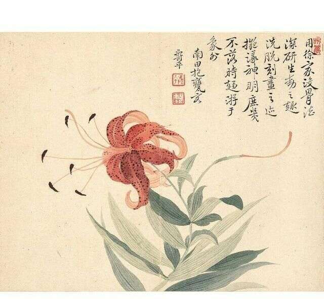 他画的花卉色彩明丽 又不失灵动奔放 人称没骨画法 楠木轩