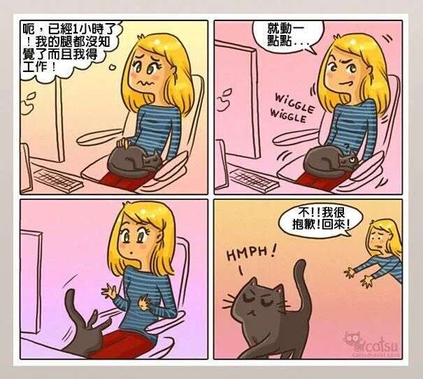 这组漫画图完美诠释了猫咪的日常 快来对号入座 楠木轩