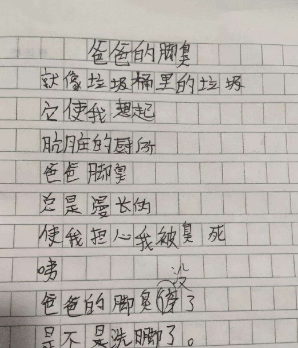 小学生作文 我的小姨 走红 文章先扬后抑 使人哭笑不得 楠木轩