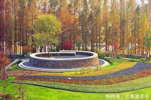 中国最值得去的3大植物园,是现实版的绿野仙踪,第一个就令人惊艳