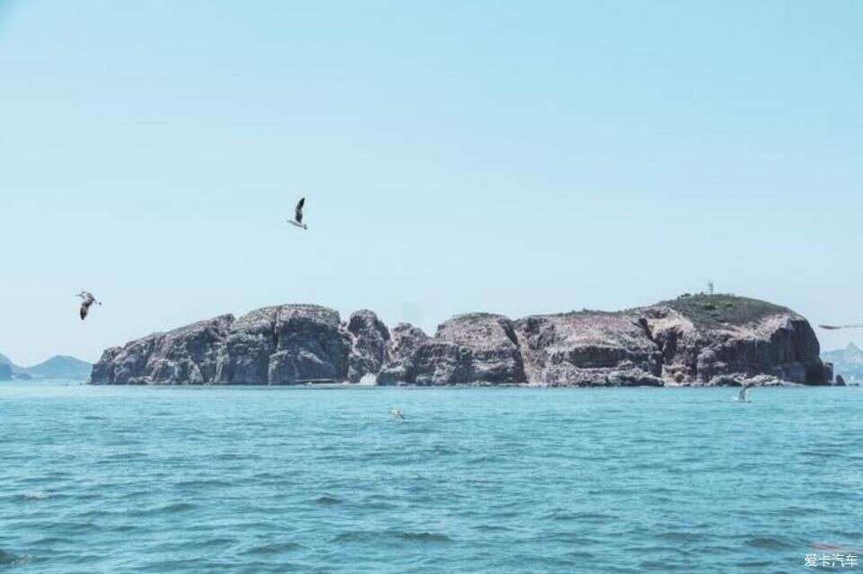 去海驢島追逐海鷗 享受出海悠閒時光 楠木軒