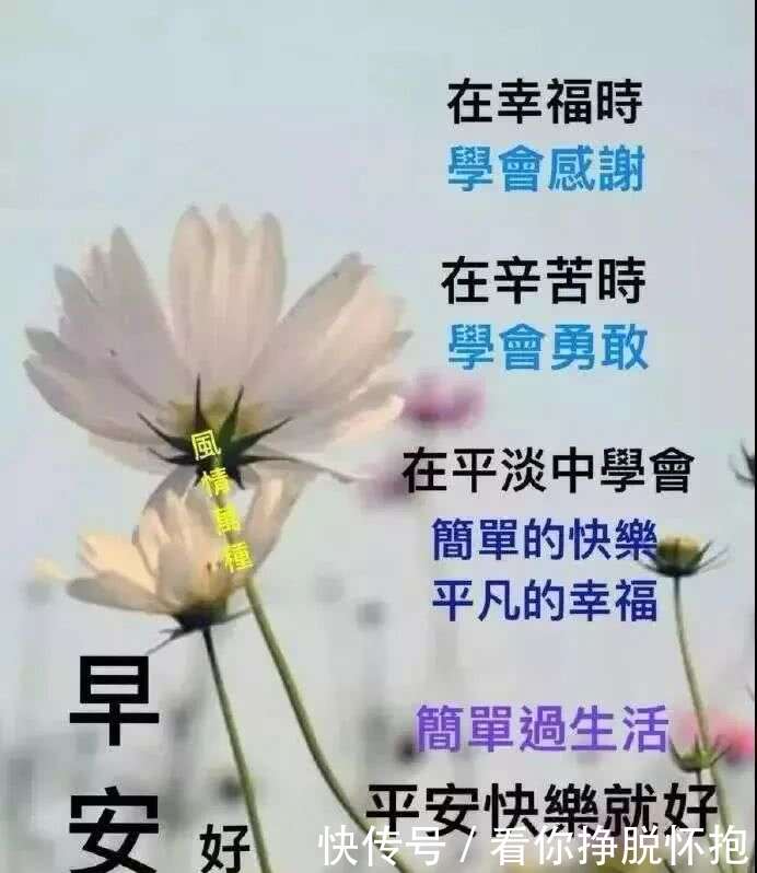 大家早上好 正能量祝福语早安问候图片大全 楠木轩