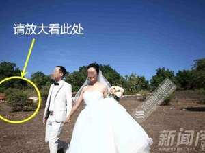 婚紗照拍出鄉村味攝影師身份有問題