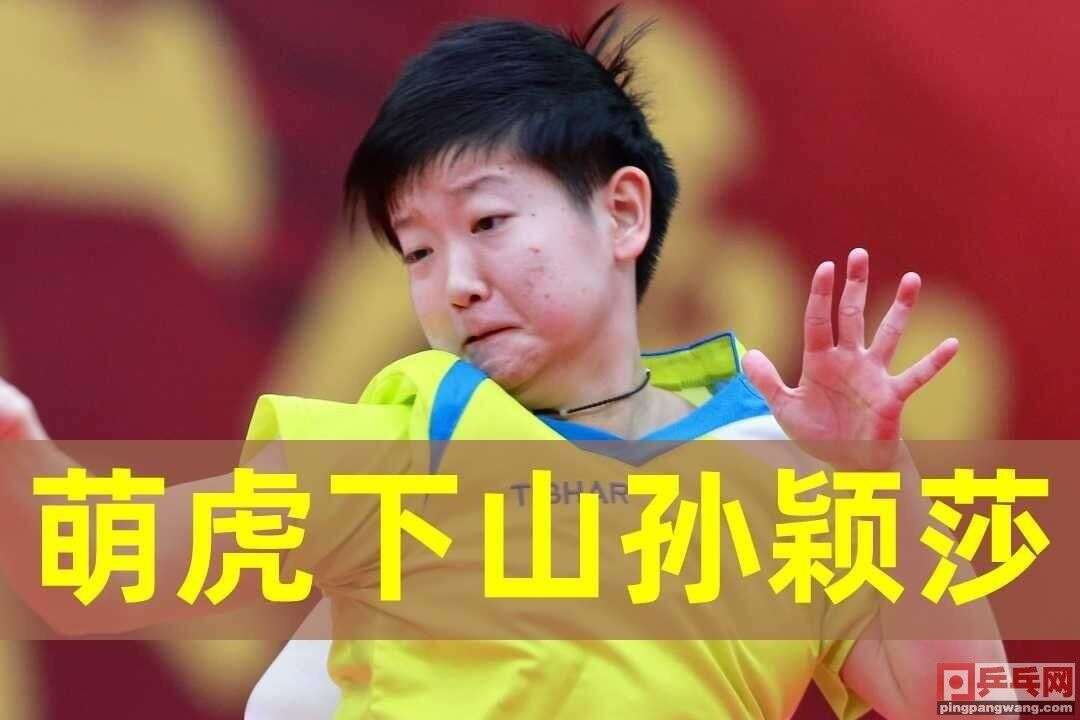 大喜讯：11月8日央视5套直播预告，2020乒乓球女子世界杯 - 楠木轩