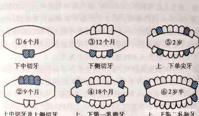 宝宝长牙时间表7个表现说明宝宝正在长牙 家长注意正确护理 楠木轩