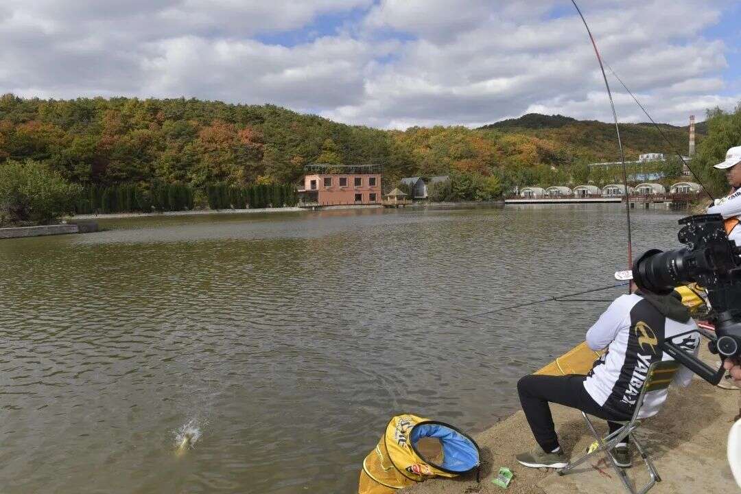 官方釋出 大連這些地方有大魚 楠木軒