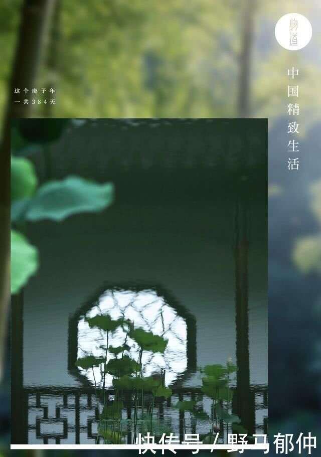 專屬夏天的清供竹風吹荷香 蟬鳴涼風來 雨打芭蕉涼 楠木軒