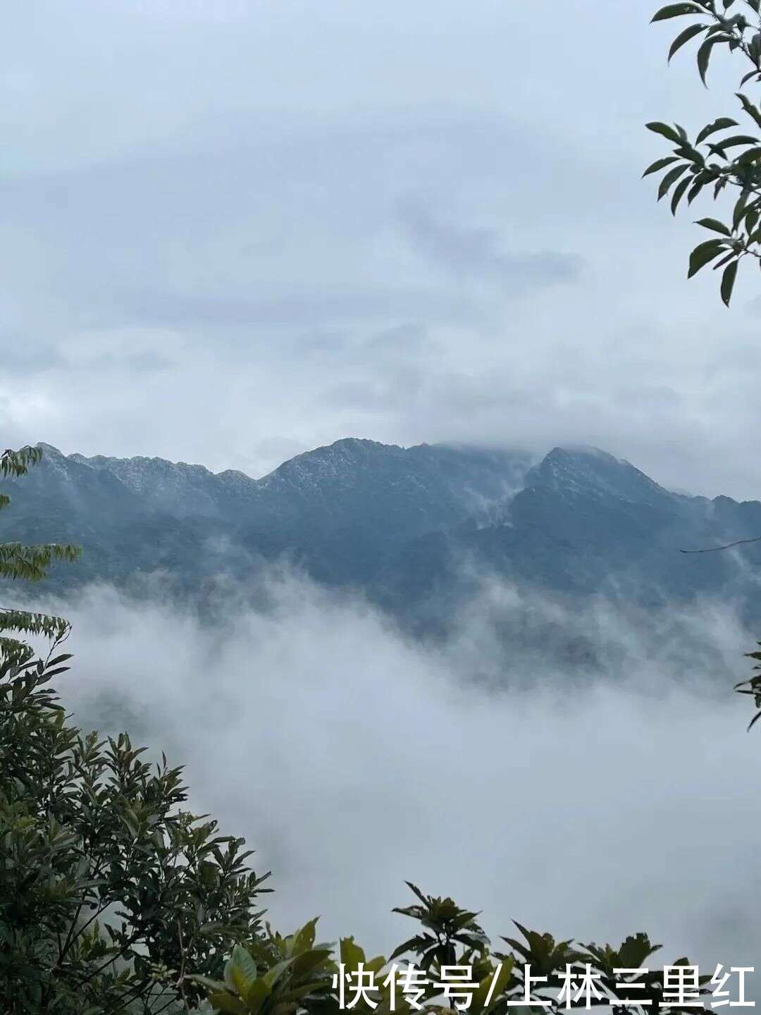 民宿在上林大明山花似锦 俱是看花人 马槽庄民宿处处是观景台 楠木轩