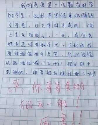 小学生检讨书走红 内含藏头诗 老师识破后气得肚子疼 楠木轩