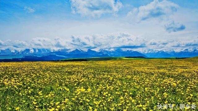 久违了 大美新疆 醉美花季 看遍雪山花海草原画卷 楠木轩