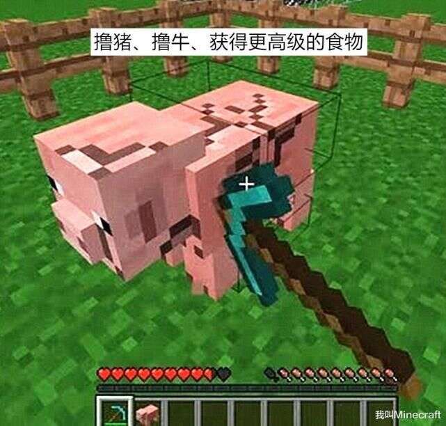 Minecraft的错误打开方式 如果有一天 你 穿越 到了mc 楠木轩