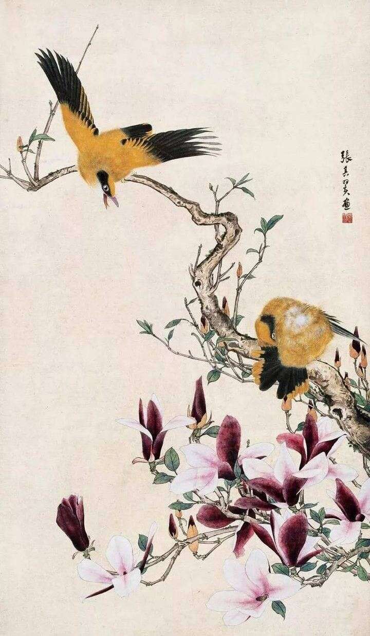 花能闻香 鸟能听语 张其翼花鸟画欣赏 楠木轩