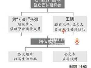 聾啞團伙偷遍全國 真是太可恨