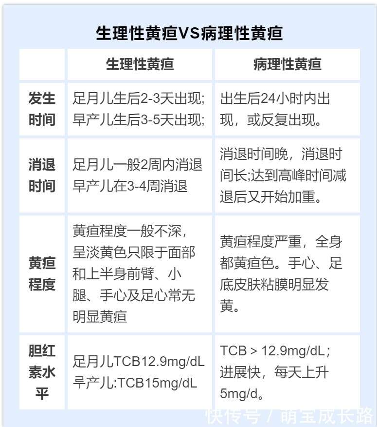 新生儿黄疸，该怎么护理？护理不当可能会严重坑娃！ - 楠木轩