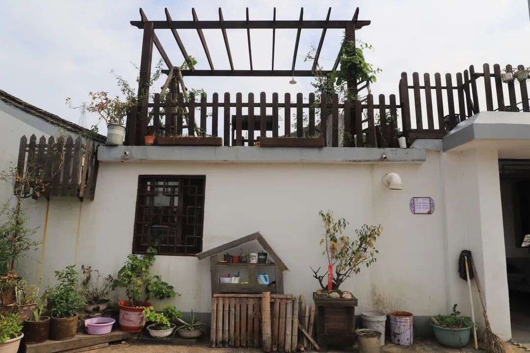 住进海岛 过几天神仙日子 假期里感受岱山的秋日慢生活 楠木轩