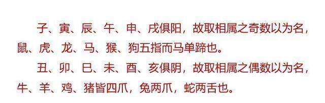 十二生肖溯源 天下動物種類多 為何偏偏選擇了這十二種 楠木軒