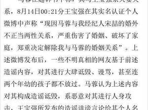 马蓉起诉王宝强毁其名誉 这样的人名誉在哪