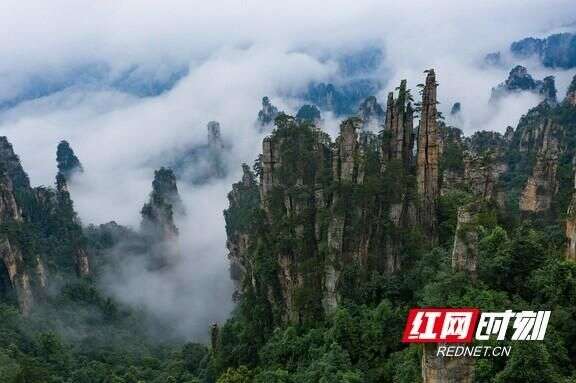 天子山 谁人识得天子面归来不看天下山 楠木轩