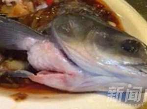 廣州餐館驚現“殭屍魚” 竟遭老外傳播丟臉面