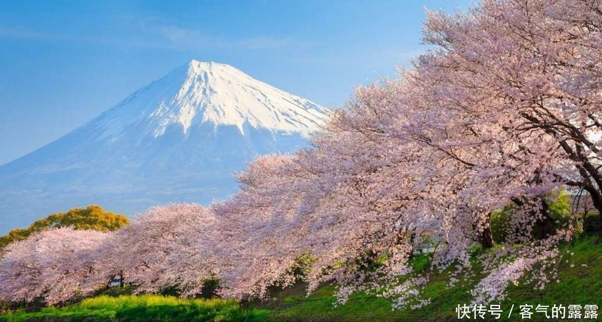 日本富士山是私人的土地 政府每年都要缴纳大笔租金 房东是谁 楠木轩