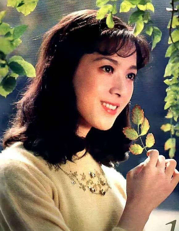 80年代娱乐圈第一美人 事业巅峰追随丈夫定居国外 66岁绝美容颜婚姻幸福 楠木轩