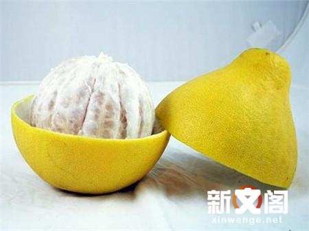 柚子的常见品种详细介绍 楠木轩