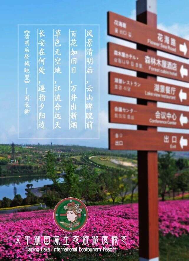 太平湖 清明雨后 拨开云雾便是晴天 楠木轩