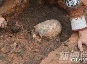 俄出土奇怪頭骨 長橢圓形酷似雞蛋 系4000年前女性頭骨