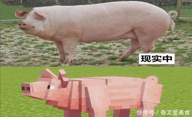 理论上 猪长这样才科学 来自minecraft老玩家的7个科学的提议 楠木轩