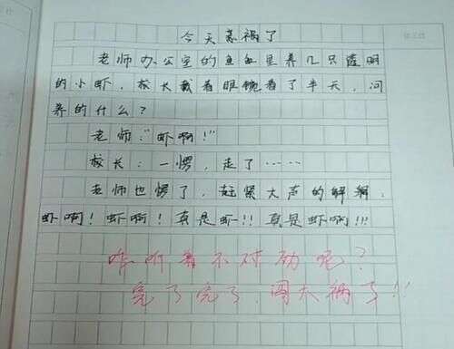 小学生作文 妈妈的报复 火了 网友被逗笑 老师妈妈很有想法 楠木轩