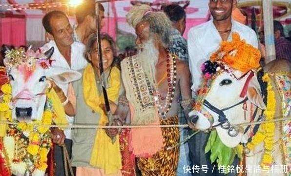女孩与狗结婚 男人娶牛为老婆 为什么印度人钟情于和动物结婚 楠木轩
