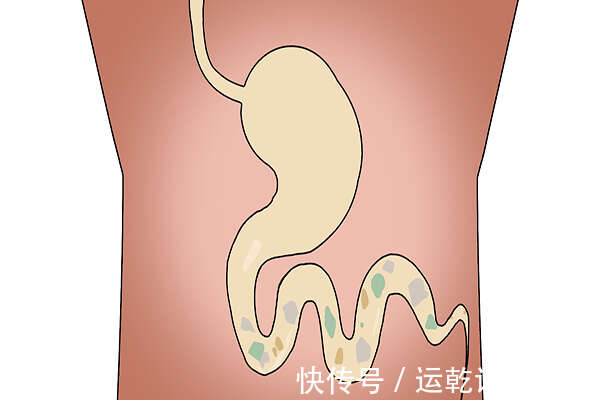 长期缺乏维生素b12 身体会怎么样 维生素b12不足 有哪些信号 楠木轩