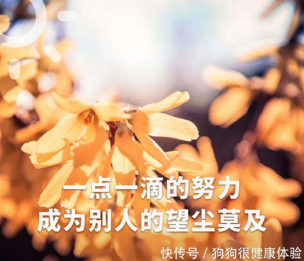 生活励志语录经典短句 积极人生格言励志短句 楠木轩