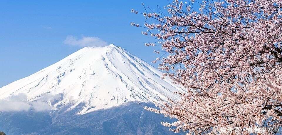 萬年積雪的富士山被一場颱風吹沒了 富士山的真容是這樣 楠木軒