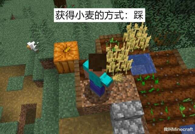 Minecraft的错误打开方式 如果有一天 你 穿越 到了mc 楠木轩