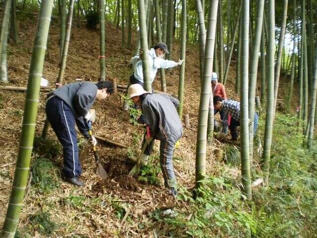 日本離奇神隱事件 5歲女童挖筍突然人間蒸發 15年來仍未破案 楠木軒