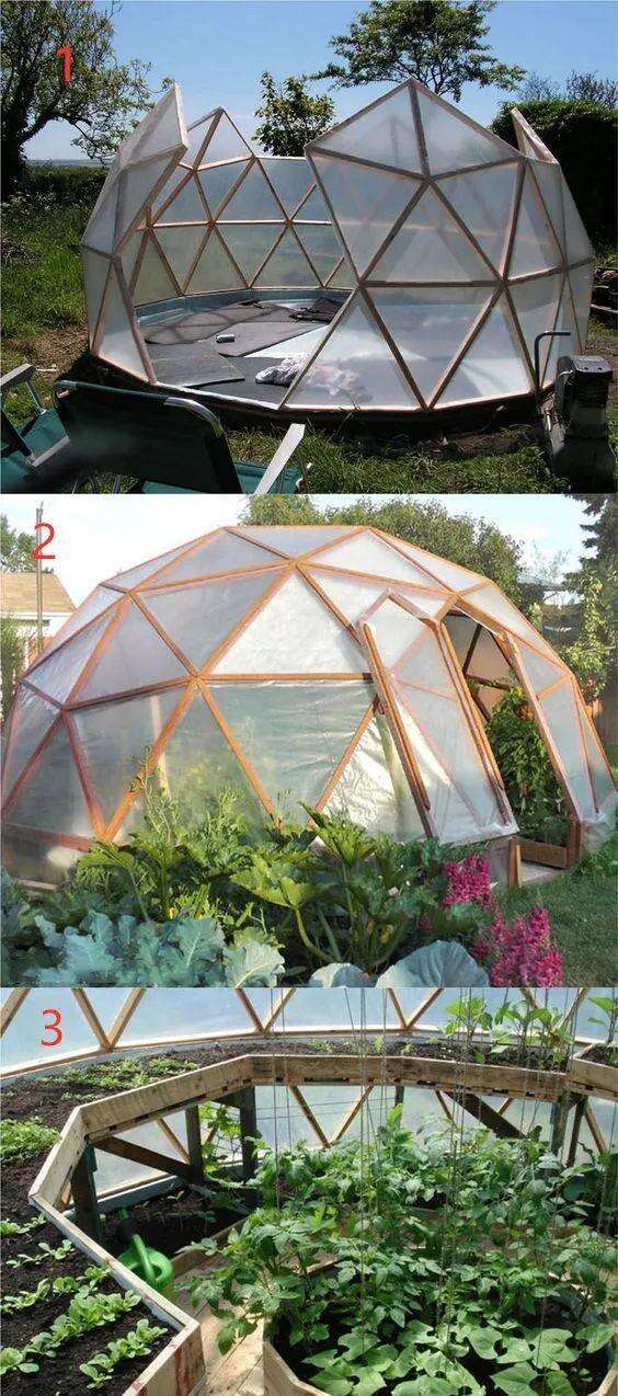 如果你家有个院子 可以搭个球形温室花房 种菜养花还能当阳光房 楠木轩