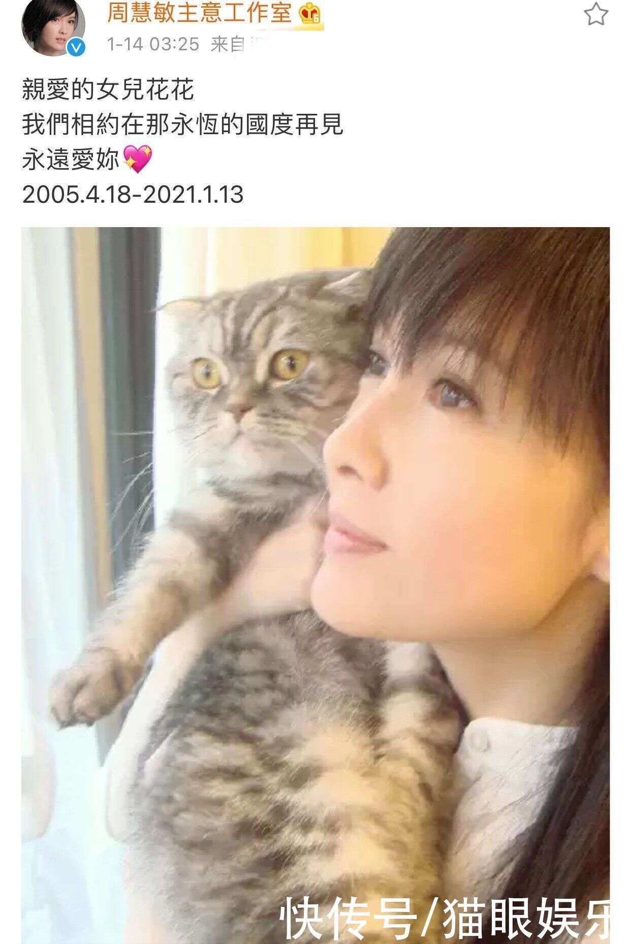 53岁周慧敏再次痛失爱猫 结婚12年无子 把猫当儿女显孤单 楠木轩