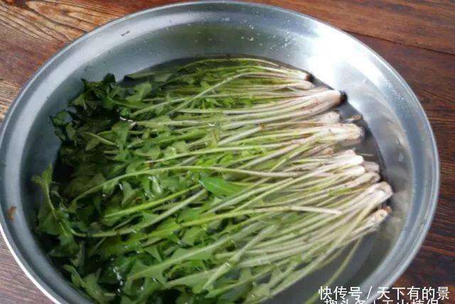 一种野菜是天然 护肝王 八月吃它最合适 有养肝排毒的功效 楠木轩