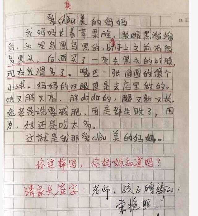 当小学生作文不再凑字 仅26个字 就让网友看到了不同的画面 楠木轩