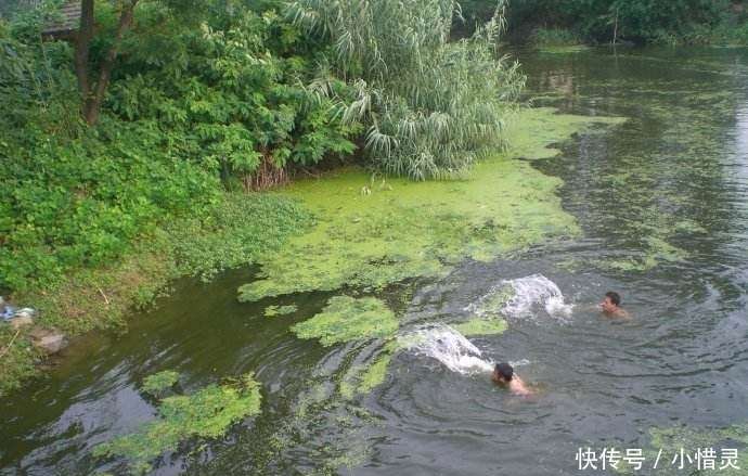 5个孩子游泳 竟溺死3人 抽干河水后 发现 水鬼 真面目 楠木轩