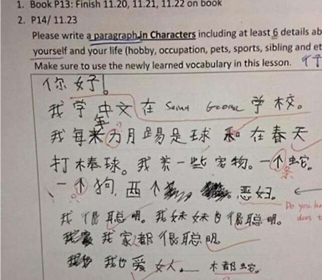 中文到底有多難學 看美國中學的 中文試卷 你是否也懷疑自己 楠木軒
