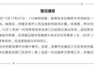 更多細節曝光，鎮政府回應老人被狗繩絆倒身亡：已對牽狗女孩進行心理疏導